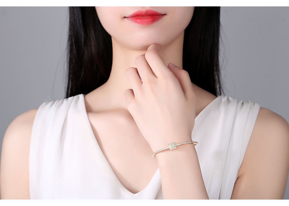 WB234 - Women Luxary Bracelet