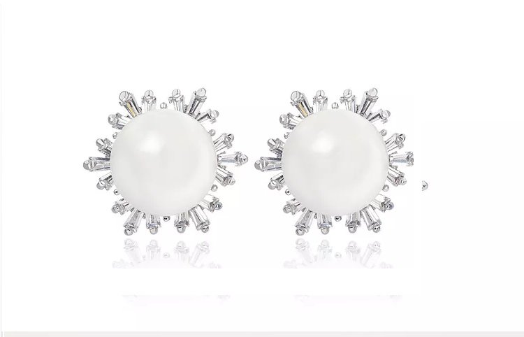 WE172 - Silver Earrings for Women — image 7