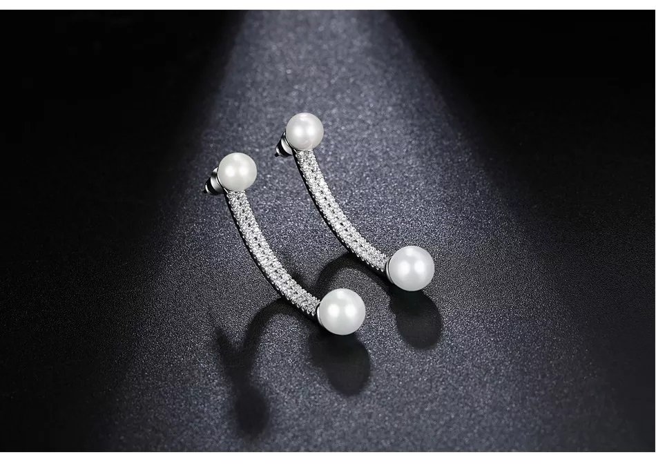 Women Luxury Earrings - WE317