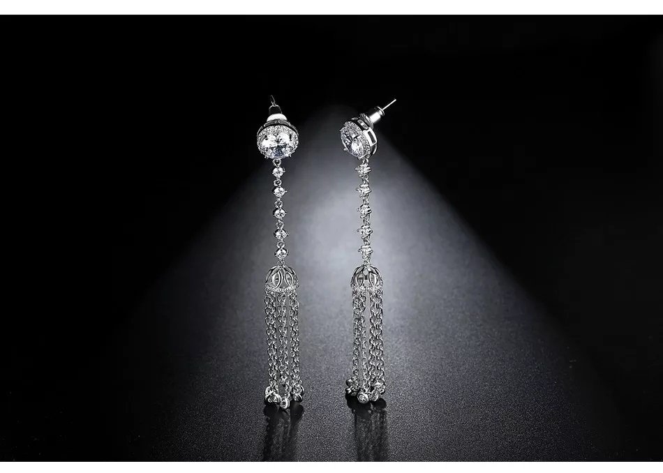 Women Luxury Earrings - WE348