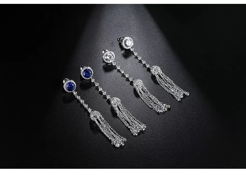 Women Luxury Earrings - WE348