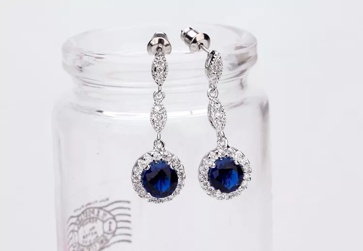 Women Luxury Earrings - WE472