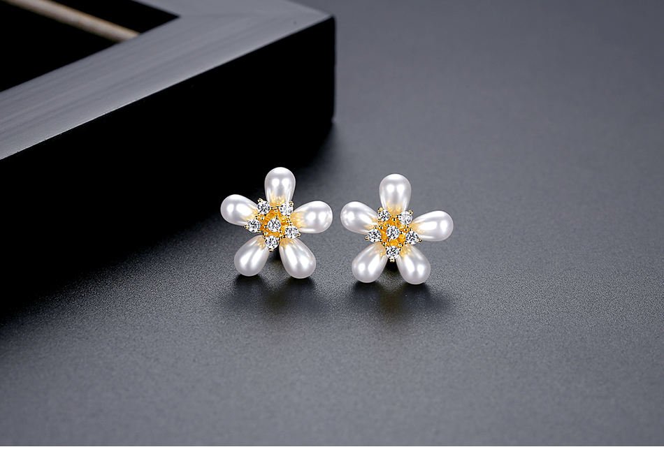 Women Luxury Earrings - WE653