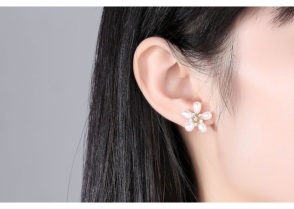 Women Luxury Earrings - WE653