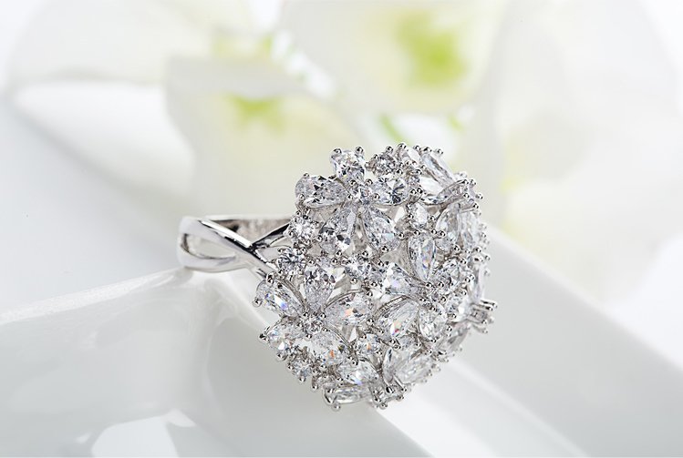 WR106 Silver Luxury Ring for Women — image 13