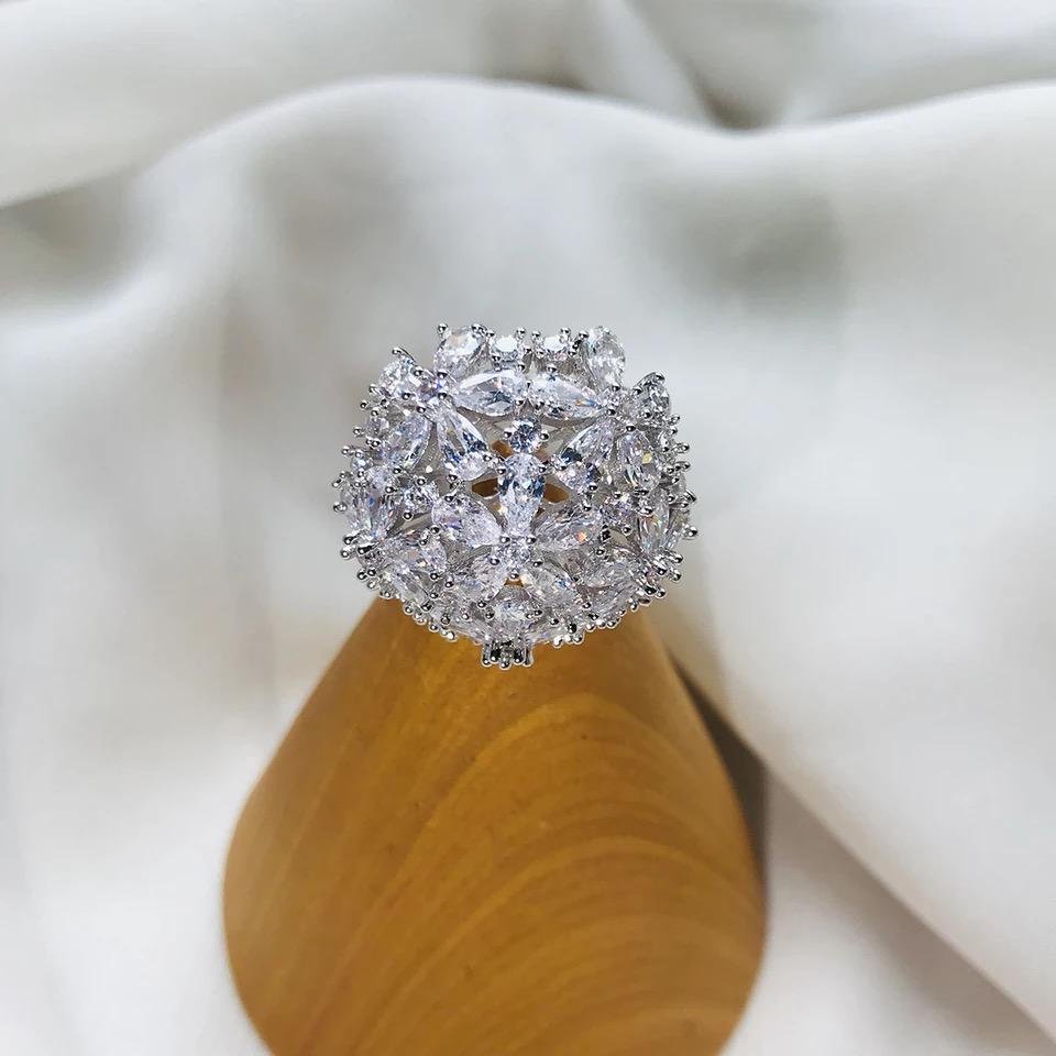 WR106 Silver Luxury Ring for Women — image 20
